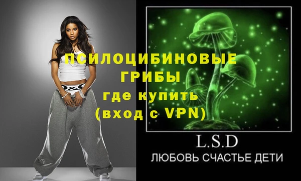 ПСИЛОЦИБИНОВЫЕ ГРИБЫ Балахна